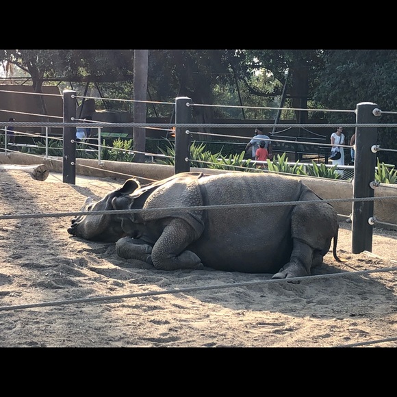 Plant - Picture 5 of 8